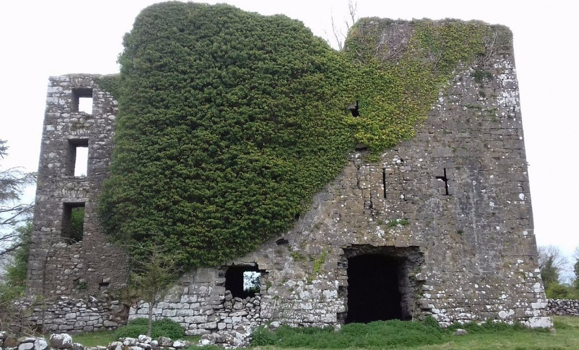 Monanimy Castle, Ireland